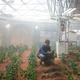 Matt Damon growing potatoes in the film The Martian